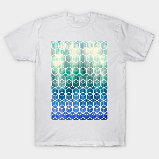 The Geometry of Bees and Boxes T-Shirt by micklyn